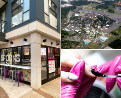 My top Charlotte recs cover photo collage