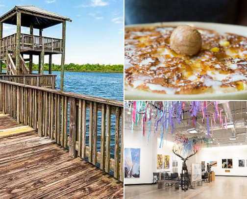 Things to do nearby or in Houston, Texas cover photo collage