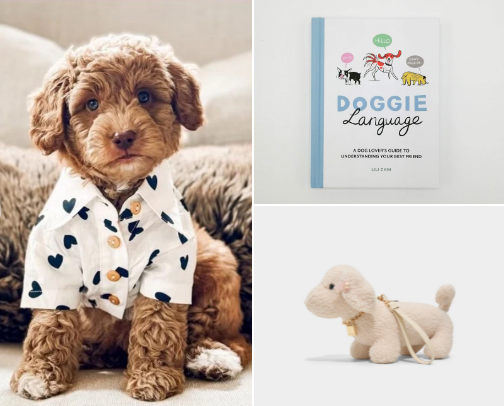 Dog Mom Essentials (and cute maybe not so essential items) 🐶 cover photo collage