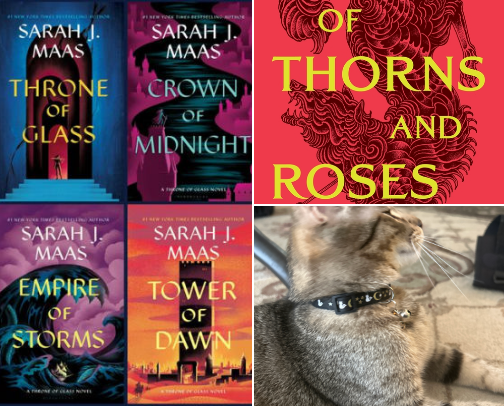 My favorite book recs cover photo collage