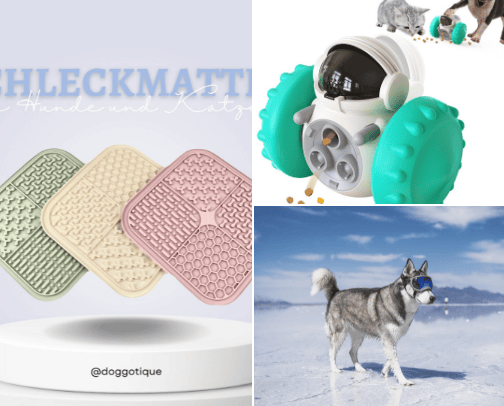 Essential dog supplies cover photo collage