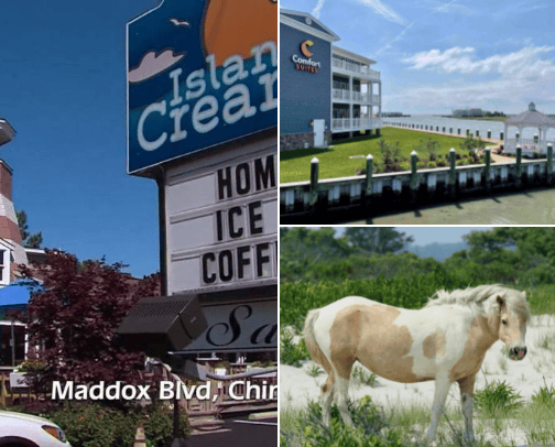 Chincoteague VA things to do cover photo collage