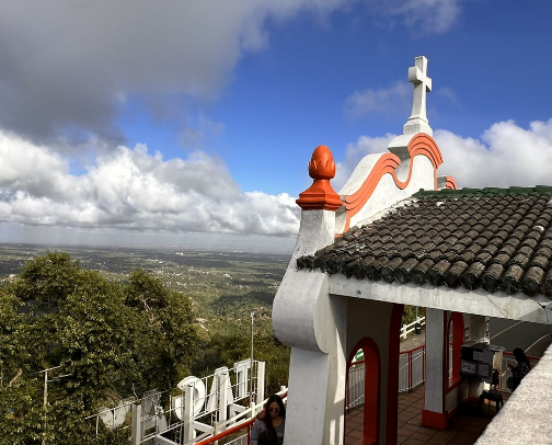 My top local recs cover photo collage