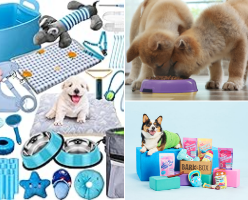 Talk to the animals cover photo collage