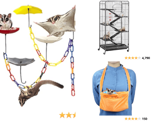 My essential and favorites suppliers for my pets cover photo collage