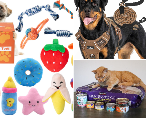 Pets food and accessories cover photo collage