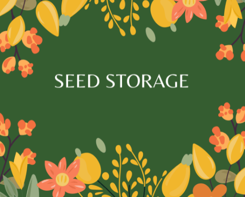 Seed Storage cover photo collage