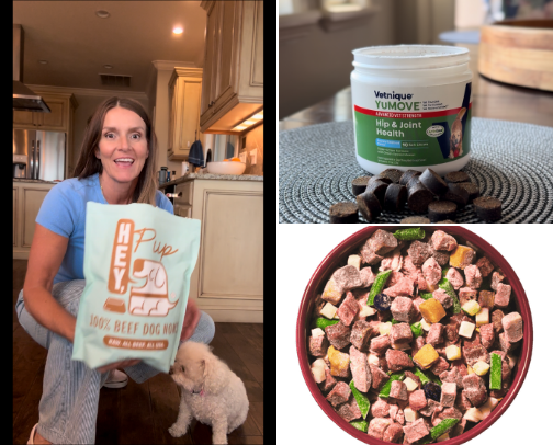 Healthy Pet support cover photo collage