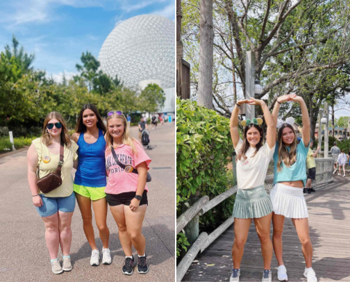 My Disney Picks - The most happiest picks on earth!✨ cover photo collage