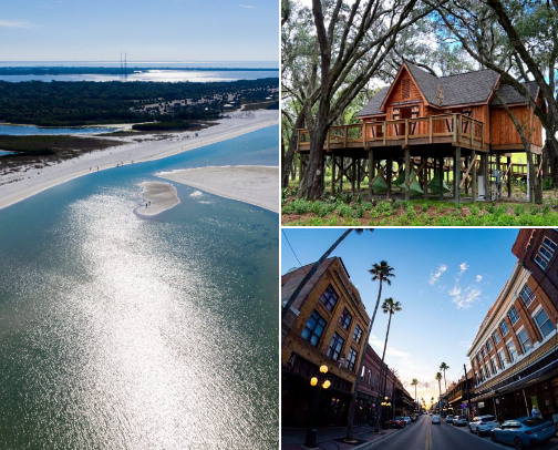 Fun things to do in Tampa and surrounding areas 🏖️ cover photo collage