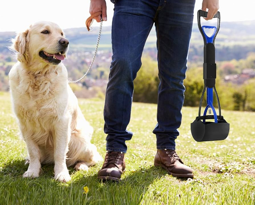 Pets favorite items in 2025 cover photo collage
