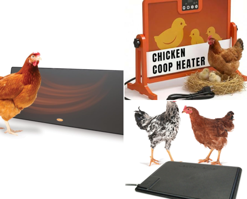 Chicken Coop Heater That Actually Keeps My Hens Warm Without Fire Risk cover photo collage