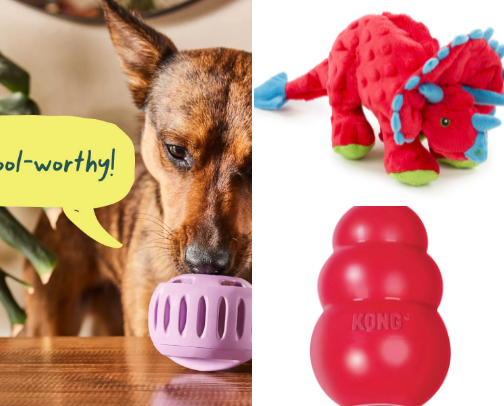 Toy's that my dog Palmer LOVES cover photo collage
