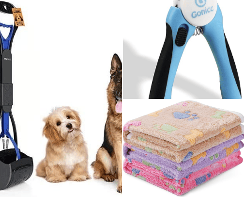 Dogs cover photo collage