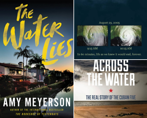 Download The Water Lies cover photo collage