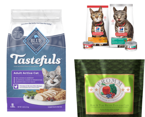 Furry Feline Friend Essentials cover photo collage