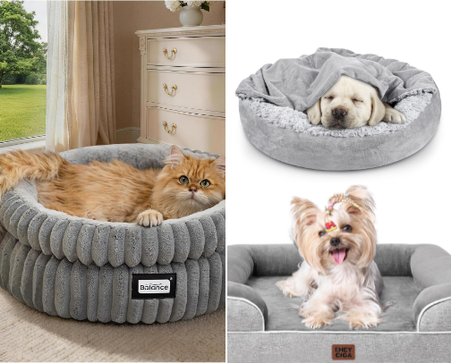 Your furry friend deserves a bed that’s just as cozy as yours. 🐾💙 cover photo collage