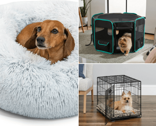 DOG ESSENTIALS  🦮 cover photo collage