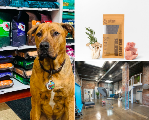 Pet-Centric Small Businesses With Big Hearts 🫶🏻🐾 cover photo collage