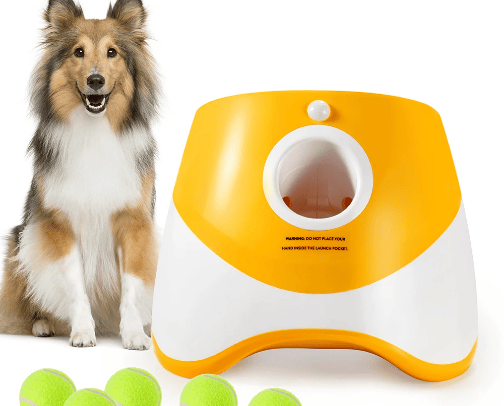 Just 32 Products If You Want Your Pet To Have A Great Summer cover photo collage