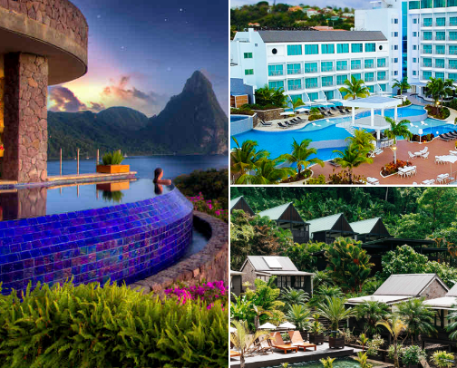 Hotels Worth Booking for Your Vacation|St.Lucia🌴🌊🐟🦀🐬 cover photo collage