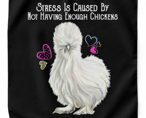 All About Chickens cover photo collage