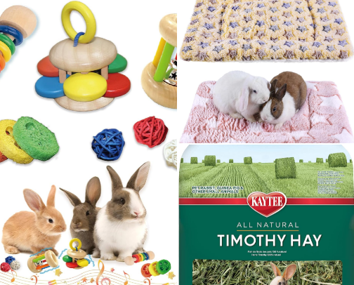 Bunny cover photo collage