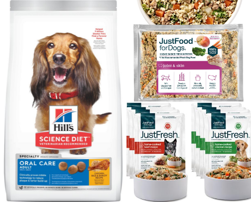 How I Keep My Senior Dog Healthy & Youthful 🐾 cover photo collage