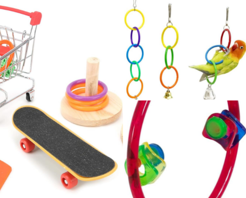 Bird toys cover photo collage