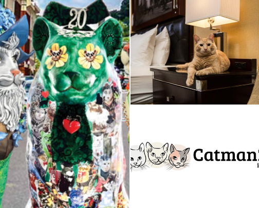 Vacation Destinations for Cat Lovers cover photo collage