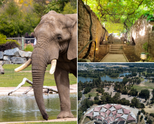Explore Fresno cover photo collage