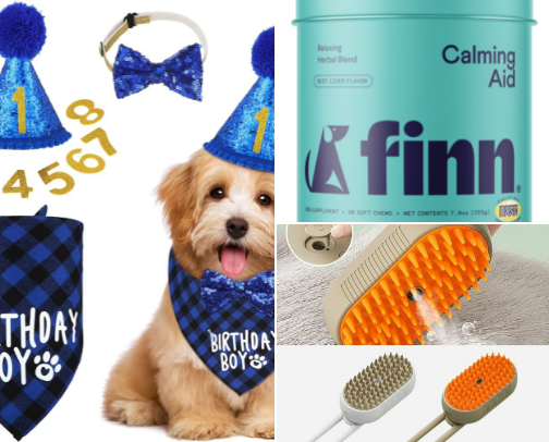 🐾 DOG CARE🦴 – ALL YOU NEED FOR HAPPY PETS 🐶 cover photo collage