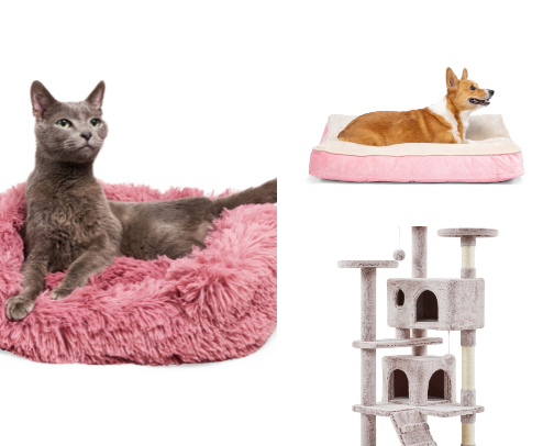 THE best pet accessories 🐾🦴 cover photo collage