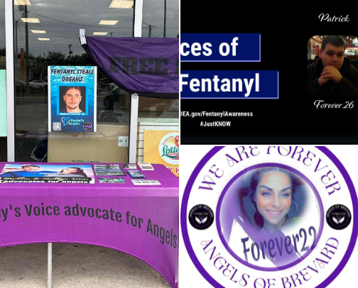 Organizations I support cover photo collage