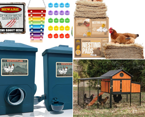 The Hen House 🐓 cover photo collage