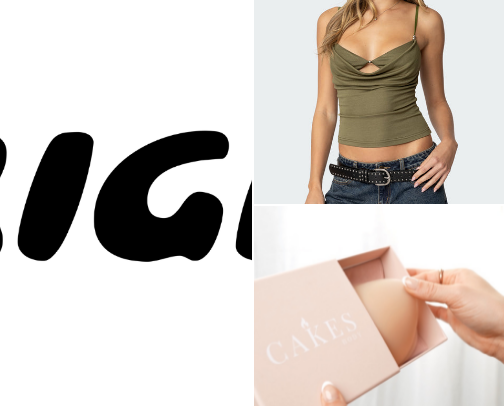 baddie on a budget cover photo collage