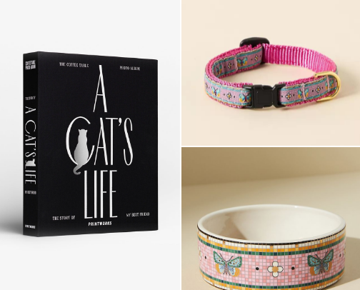 Gifts for Cat Lovers cover photo collage