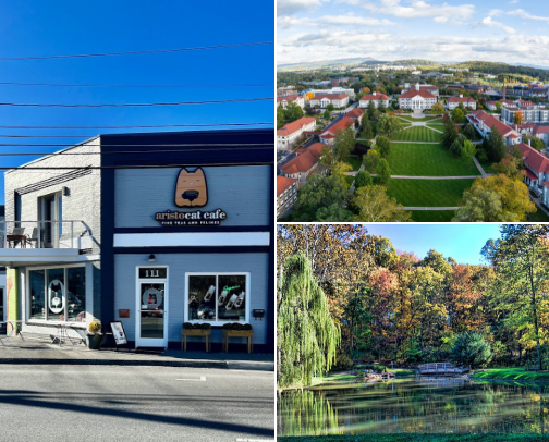 Things to do in Harrisonburg, VA cover photo collage