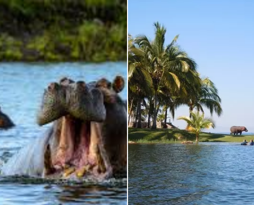 Exploring Kariba Dam: Africa’s Hidden Waterfront Adventure cover photo collage
