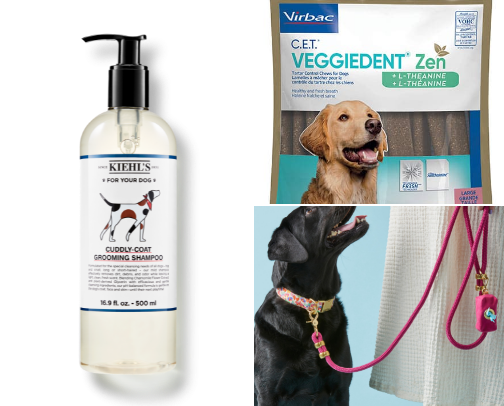 Dog 🐶 cover photo collage