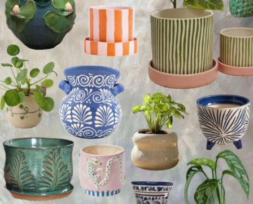 My Whismy Home 🏡🪲🧚🏽‍♂️🐌 cover photo collage