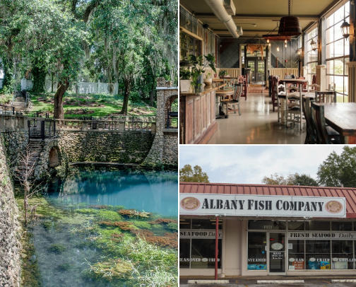 Best Albany Ga places cover photo collage