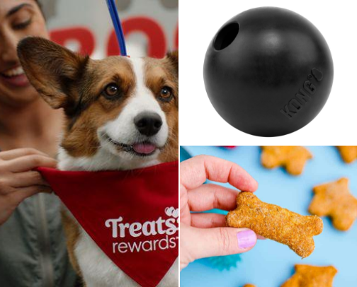 Favorites for my pup cover photo collage