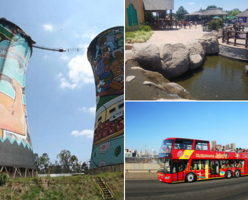 What to do in South Africa cover photo collage
