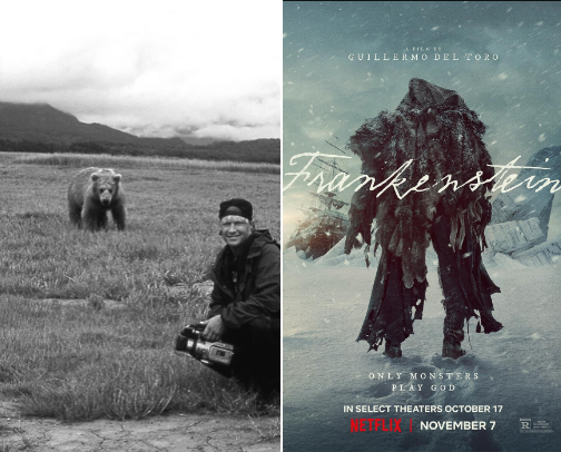Beautiful movies I recommend everyone see at least once cover photo collage