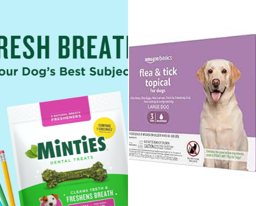 . “Healthy & Yummy — My Dog’s Must-Have Treats” cover photo collage