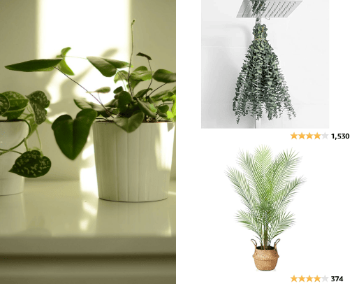 Home Gardening cover photo collage