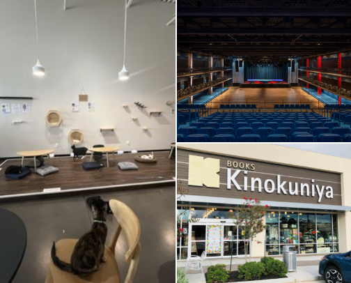 Solo, Duo, & Group Outings To Do from a Houston Local cover photo collage