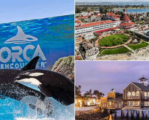 I have lived in San Diego for 10 years. Here are some of the fun things to do in San Diego. cover photo collage