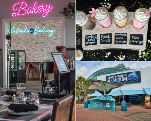 Go to spots in Florida and Georgia cover photo collage